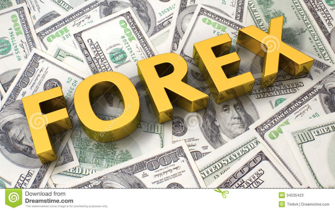 Who can take Forex and Treasury Management Course?